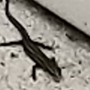 Meet your Posher, Marc